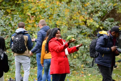 DSC_0534 (Large).JPG